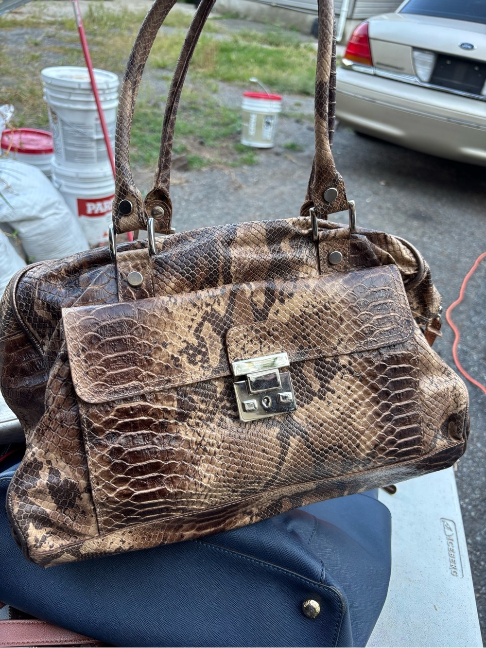 Nordstrom Snake-Embossed Brown Shoulder Bag